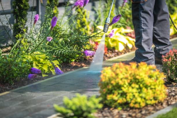 Best Concrete Surface Cleaning in Doylestown, OH
