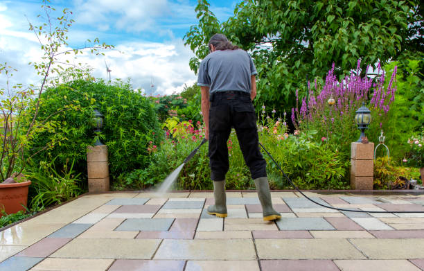 Best Brick and Stone Cleaning in Doylestown, OH